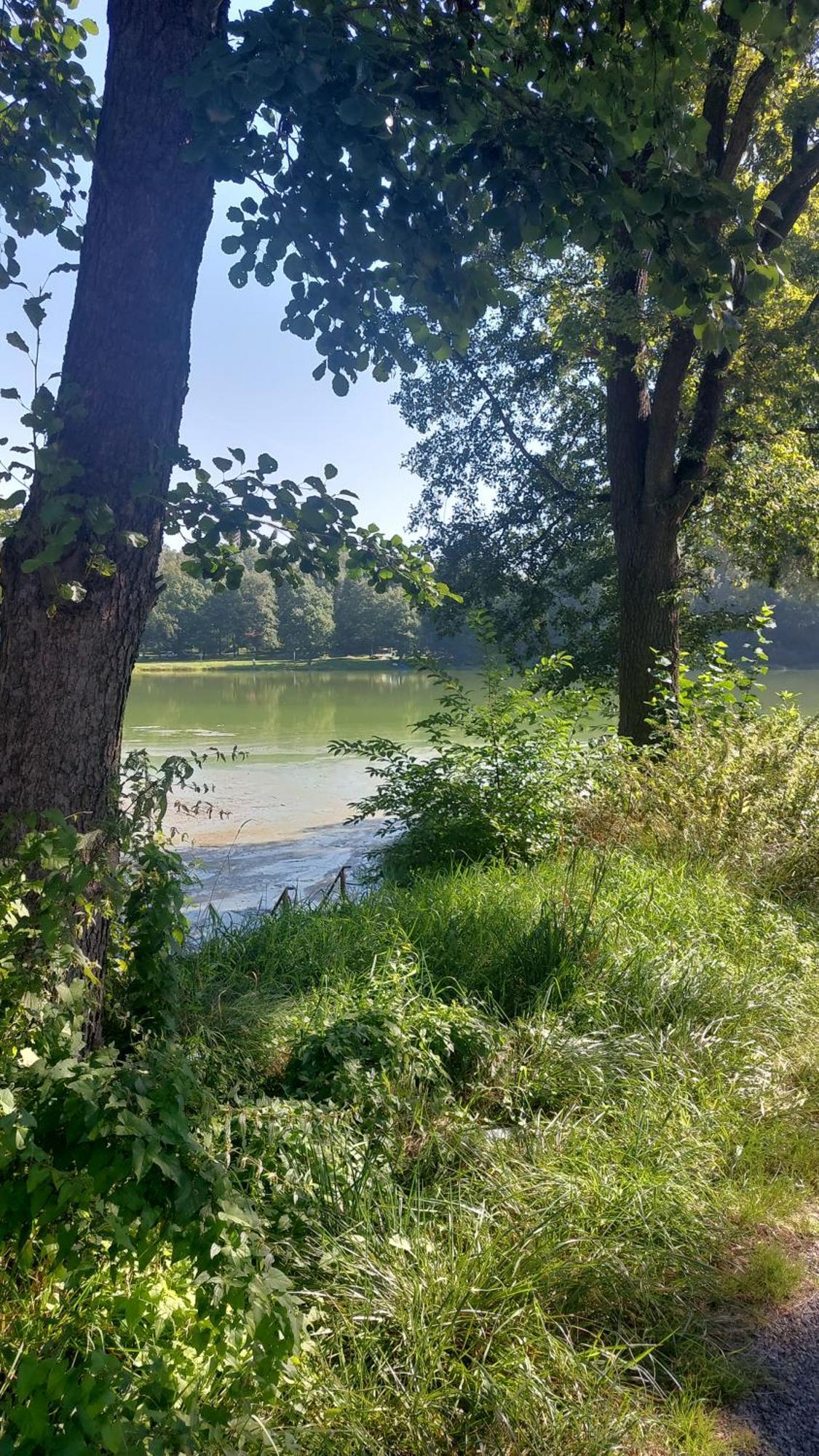 Domki Nad Jeziorem Karlowice 외부 사진